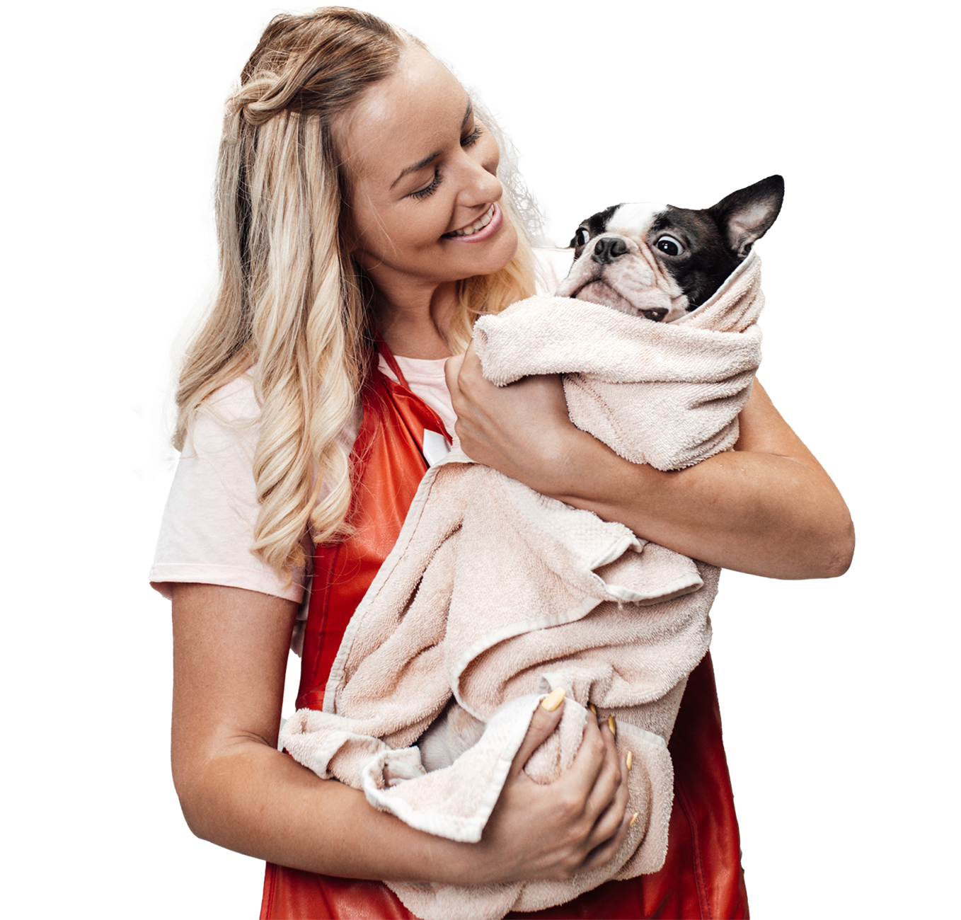 for pet professionals